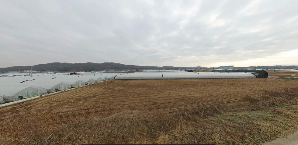 경기 이천시 단월동 단월동 저렴한 농지매매 대토, 하우스농사,논농사 추천 매매 매물번호 19604 사진 1