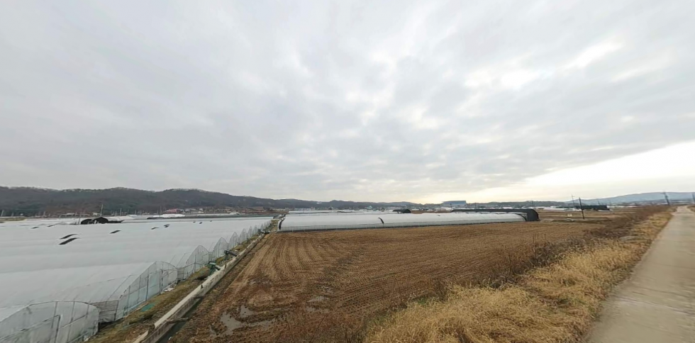 경기 이천시 단월동 단월동 저렴한 농지매매 대토, 하우스농사,논농사 추천 매매 매물번호 19604 사진 2
