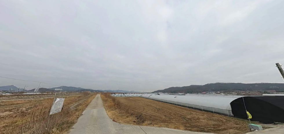 경기 이천시 단월동 단월동 저렴한 농지매매 대토, 하우스농사,논농사 추천 매매 매물번호 19604 사진 3
