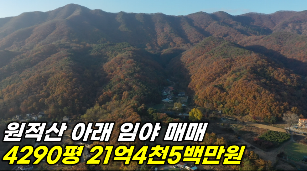 경기 이천시 백사면 도립리 원적산 아래 전망 좋은 임야 매매 !! 매매 매물번호 19723 사진 1
