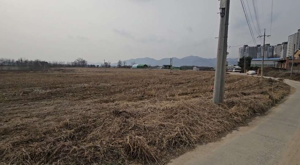 경기 이천시 백사면 모전리 백사 체육공원 앞 바로 건축 가능한 토지 급매! 매매 매물번호 19911 사진 1
