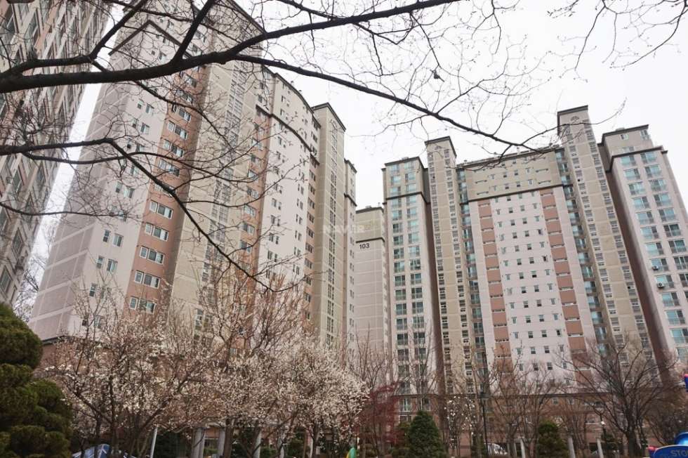 경기 이천시 송정동 탁 트인 전경과 학세권 을 자랑하는 송정동 동양 파라곤 103동 매매 있어요~ 매매 매물번호 20560 사진 1