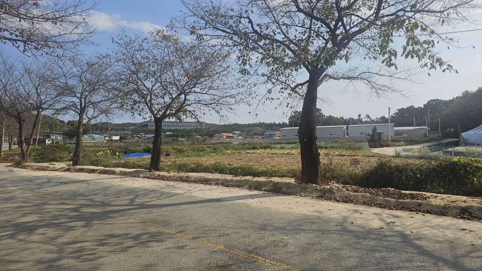 경기 여주시 가남읍 심석리 여주 심석리 이쁜마을 2차선 접 계획관리 토지 급매! 창고 주택 체류형쉼터 추천 매매 매물번호 20805 사진 1