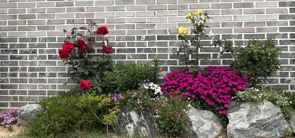 경기 이천시 신둔면 지석리 이천 신둔면 전원주택매매 .도시가스 인입,신둔도예촌역 차량 3분거리에 정원이 너무 아름다운집입니다. 매매 매물번호 18351 사진 3