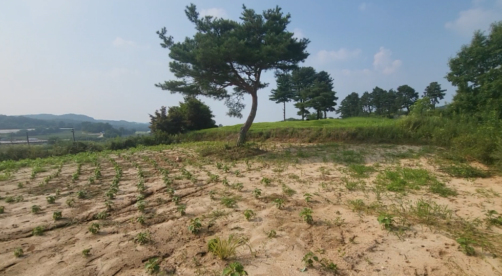 경기 이천시 장호원읍 나래리 이천 장호원 나래리 묘자리 토지 매매 매매 매물번호 18532 사진 2